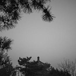 《暗黑破坏神2重制版》怎么下载？用网易UU加速器轻松解决